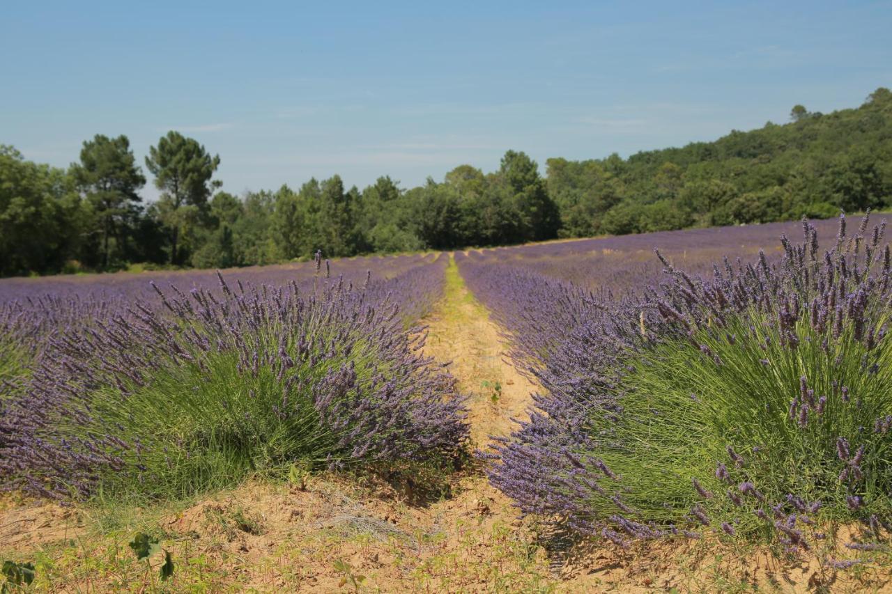 Les Yourtes De Provence Saint-Paulet-de-Caisson エクステリア 写真